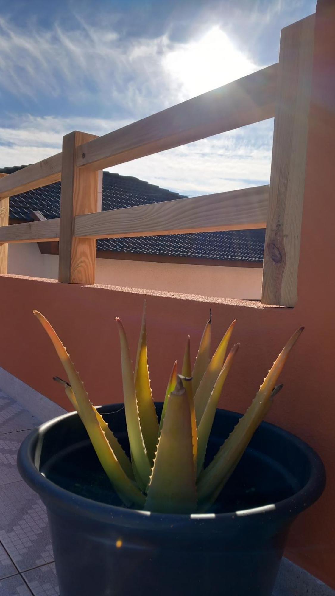Guesthouse Beach Break Peniche Eksteriør billede